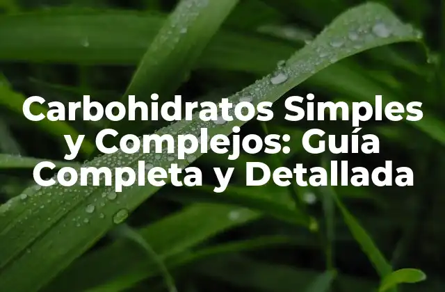 Carbohidratos Simples y Complejos: Guía Completa y Detallada