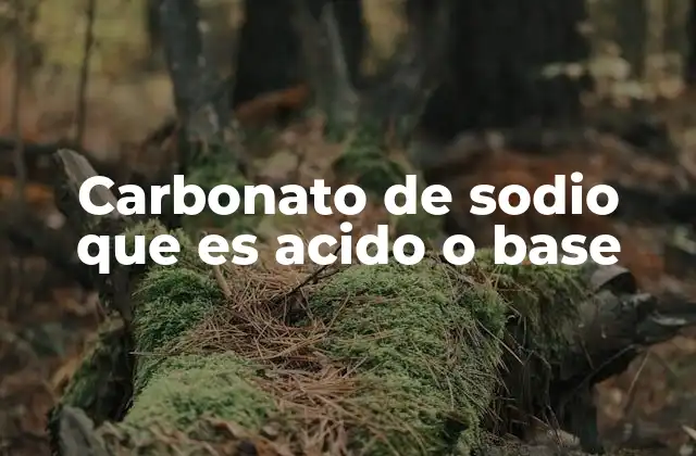 Carbonato de Sodio que es Acido o Base
