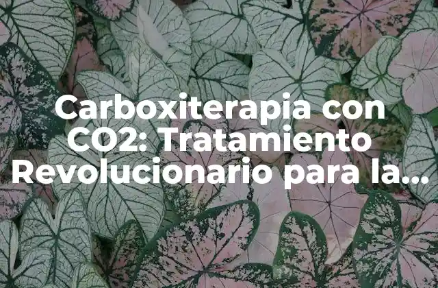 Carboxiterapia con Co2: Tratamiento Revolucionario para la Salud y la Belleza