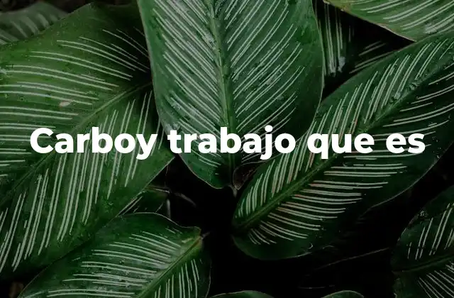 Carboy Trabajo que es