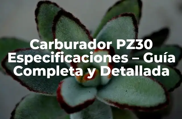 Carburador Pz30 Especificaciones – Guía Completa y Detallada