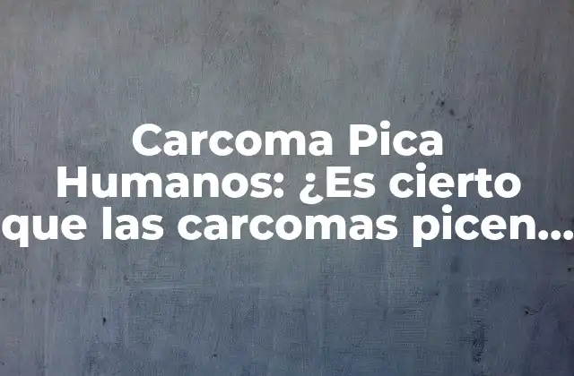 Carcoma Pica Humanos: ¿es Cierto que las Carcomas Picen a las Personas?