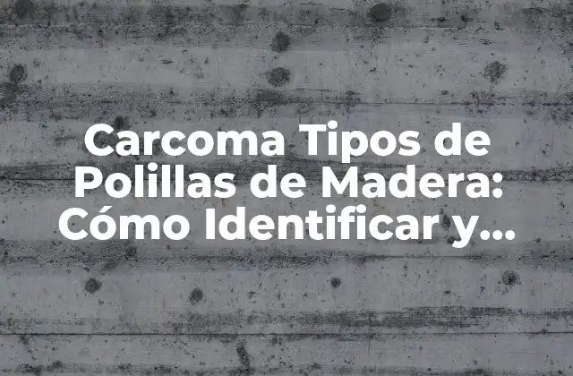 Carcoma Tipos de Polillas de Madera: Cómo Identificar y Prevenir Daños