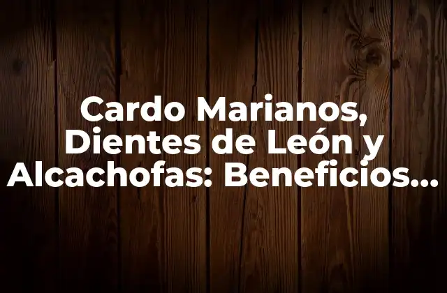 Cardo Marianos, Dientes de León y Alcachofas: Beneficios y Propiedades Medicinales