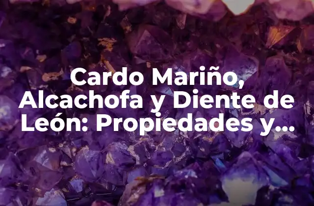 Cardo Mariño, Alcachofa y Diente de León: Propiedades y Beneficios