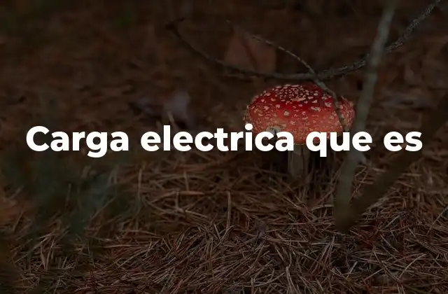 Carga Electrica que es