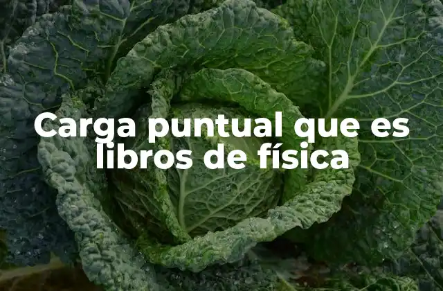 Carga Puntual que es Libros de Física