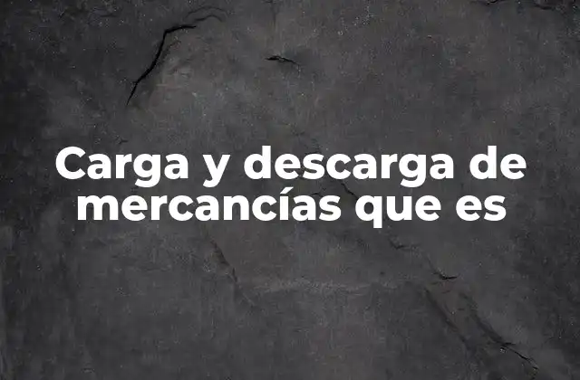 Carga y Descarga de Mercancías que es