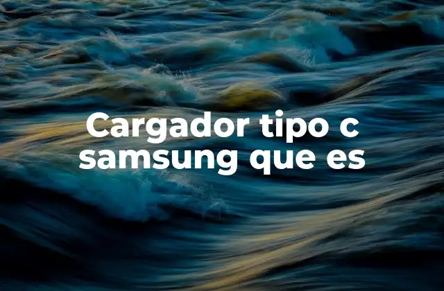 Cargador Tipo C Samsung que es