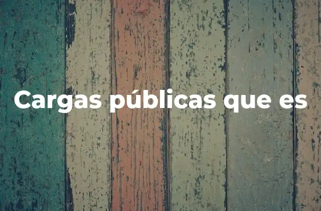 Cargas Públicas que es