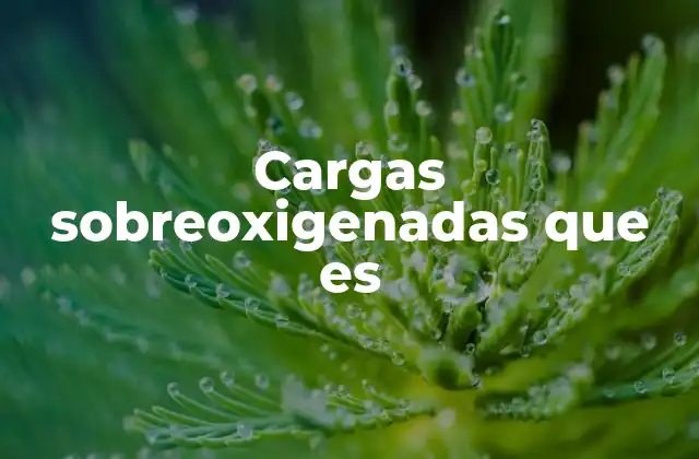 Cargas Sobreoxigenadas que es 2 El papel de las moléculas con exceso de oxígeno en química