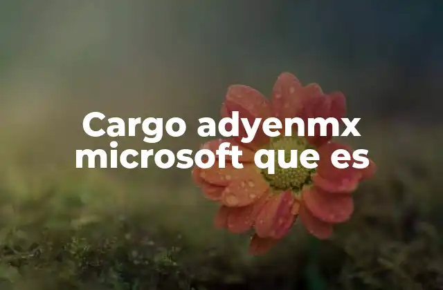 Cargo Adyenmx Microsoft que es