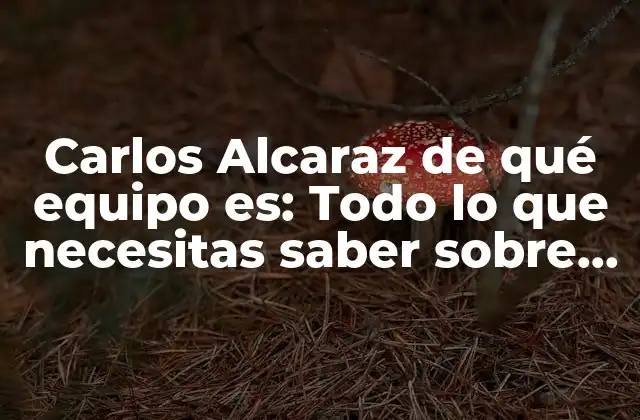 Carlos Alcaraz de Qué Equipo Es: Todo Lo que Necesitas Saber sobre el Tenista Español