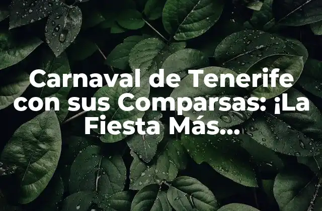 Carnaval de Tenerife con Sus Comparsas: ¡la Fiesta Más Emblemática de las Islas Canarias!