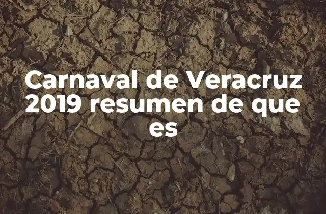 Carnaval de Veracruz 2019 Resumen de que es
