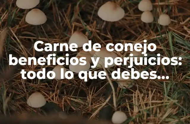 Carne de Conejo Beneficios y Perjuicios: Todo Lo que Debes Saber 2 Composición nutricional de la carne de conejo
