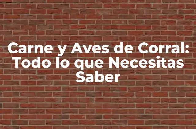 Carne y Aves de Corral: Todo Lo que Necesitas Saber