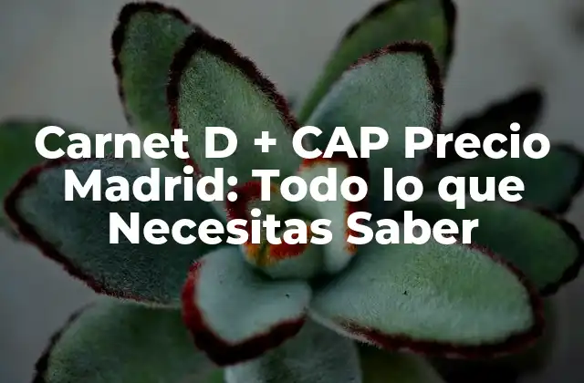 Carnet D + Cap Precio Madrid: Todo Lo que Necesitas Saber