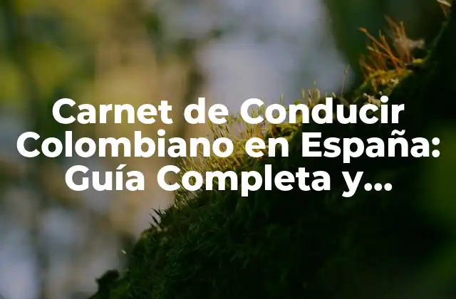 Carnet de Conducir Colombiano en España: Guía Completa y Actualizada