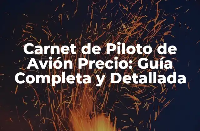 Carnet de Piloto de Avión Precio: Guía Completa y Detallada 2 Cómo se Calcula el Precio de un Carnet de Piloto de Avión