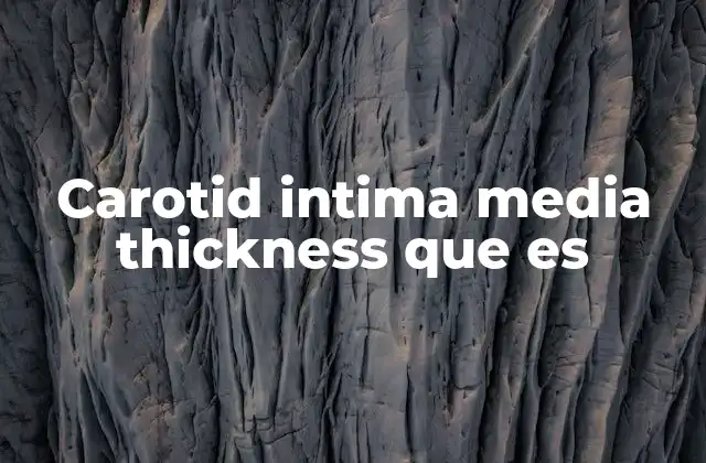Carotid Intima Media Thickness que es