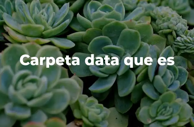 Carpeta Data que es