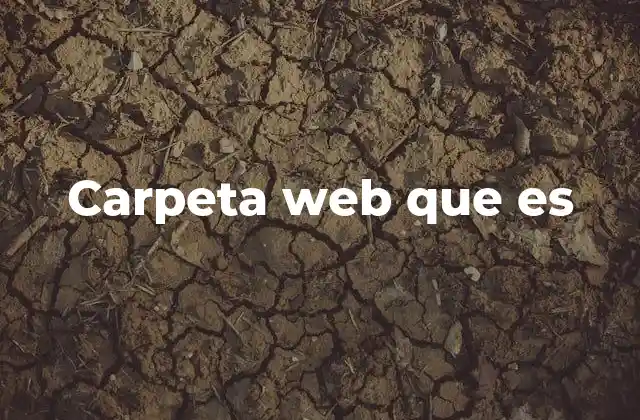 Carpeta Web que es