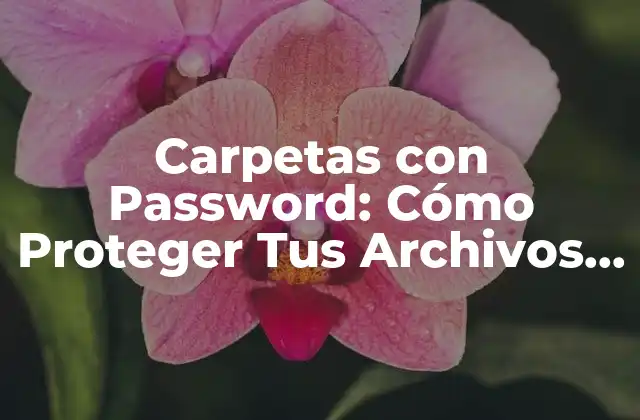 ¿Qué son Carpetas con Password?