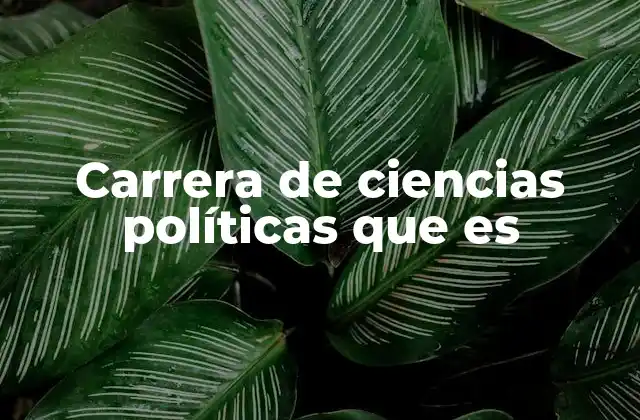 Carrera de Ciencias Políticas que es