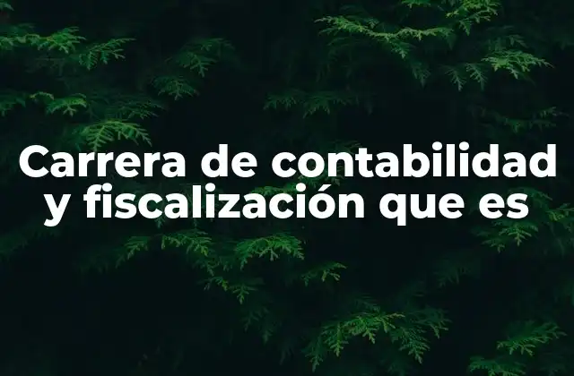 Carrera de Contabilidad y Fiscalización que es