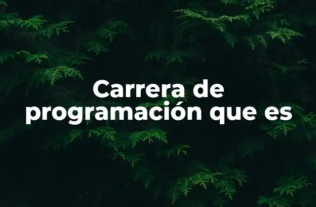 Carrera de Programación que es
