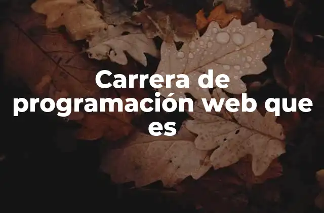 Carrera de Programación Web que es