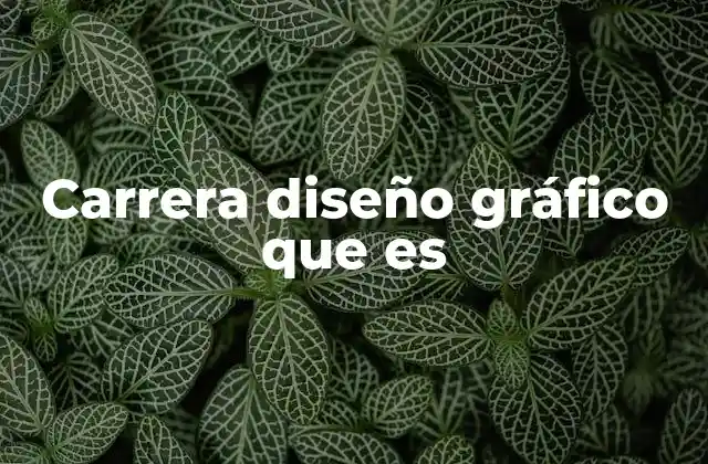 Carrera Diseño Gráfico que es