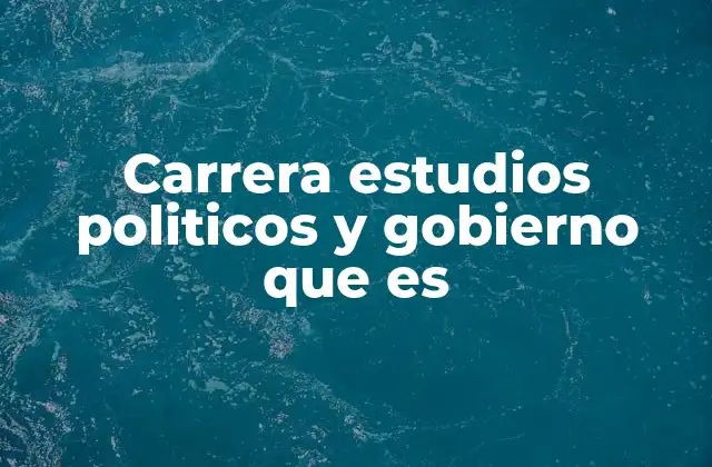 Entendiendo la formación en políticas públicas y gestión estatal