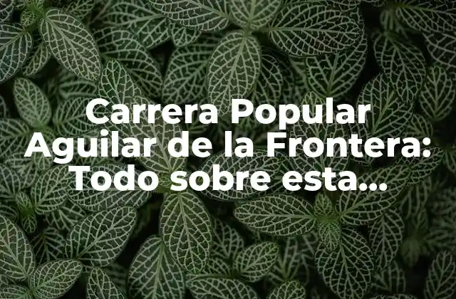 Carrera Popular Aguilar de la Frontera: Todo sobre Esta Emocionante Competición