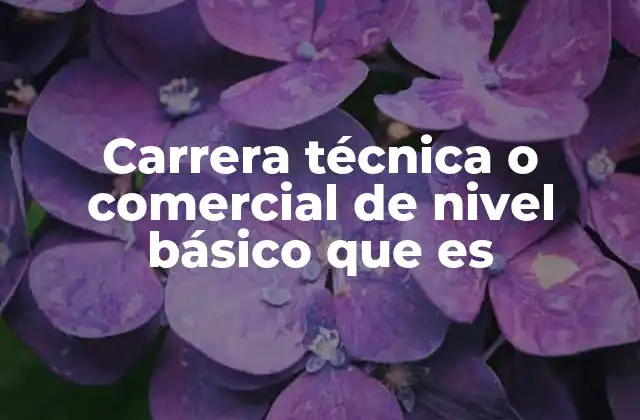 Carrera Técnica o Comercial de Nivel Básico que es