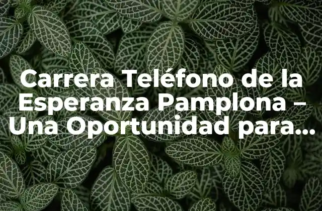 Carrera Teléfono de la Esperanza Pamplona – una Oportunidad para Ayudar