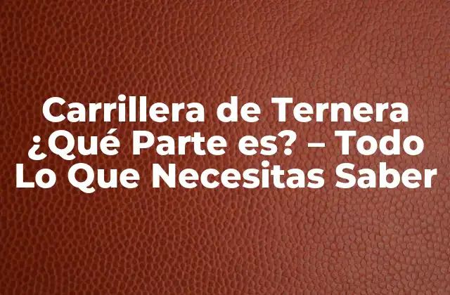 Carrillera de Ternera ¿qué Parte Es? – Todo Lo que Necesitas Saber