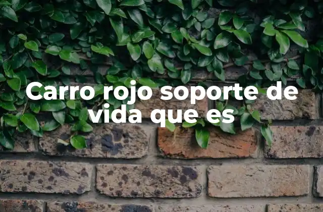 Carro Rojo Soporte de Vida que es