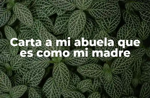 Carta a Mi Abuela que es como Mi Madre