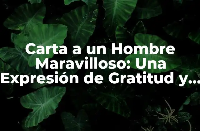 Carta a un Hombre Maravilloso: una Expresión de Gratitud y Admiration