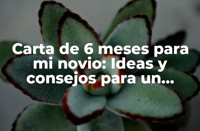 Carta de 6 Meses para Mi Novio: Ideas y Consejos para un Regalo Emocional