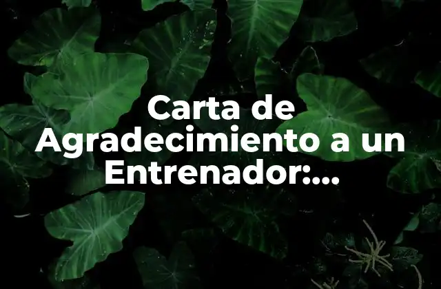 Carta de Agradecimiento a un Entrenador: Expresiones de Gratitud y Reconocimiento