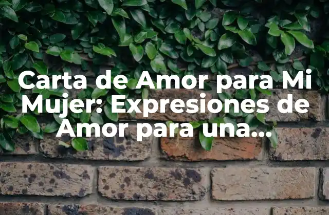 Carta de Amor para Mi Mujer: Expresiones de Amor para una Relación Increíble