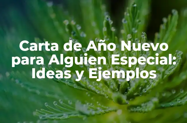Carta de Año Nuevo para Alguien Especial: Ideas y Ejemplos