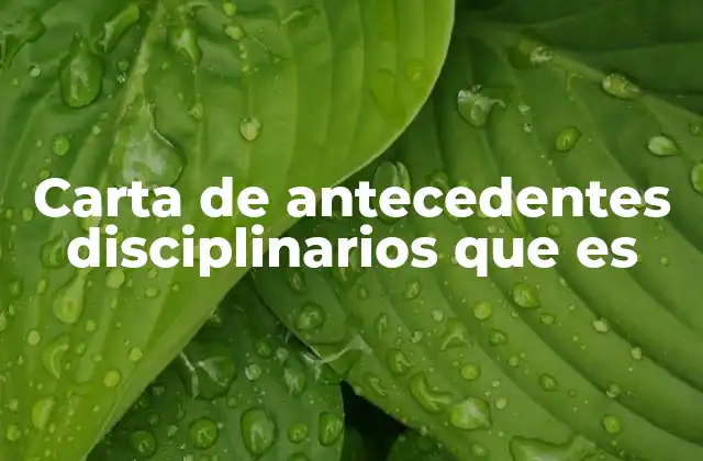 Carta de Antecedentes Disciplinarios que es