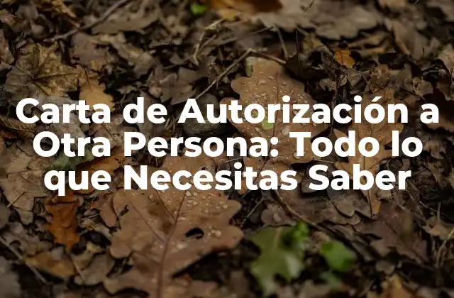 Carta de Autorización a Otra Persona: Todo Lo que Necesitas Saber