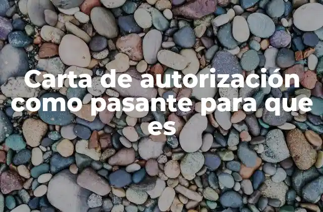 Carta de Autorización como Pasante para que es