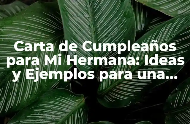 Carta de Cumpleaños para Mi Hermana: Ideas y Ejemplos para una Felicitación Única