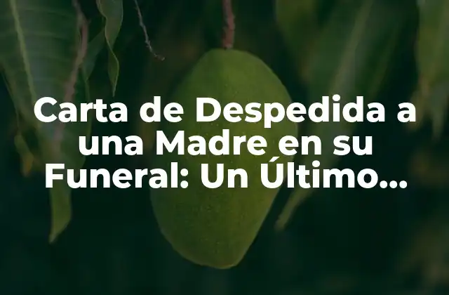 Carta de Despedida a una Madre en Su Funeral: un Último Adiós Emocionante